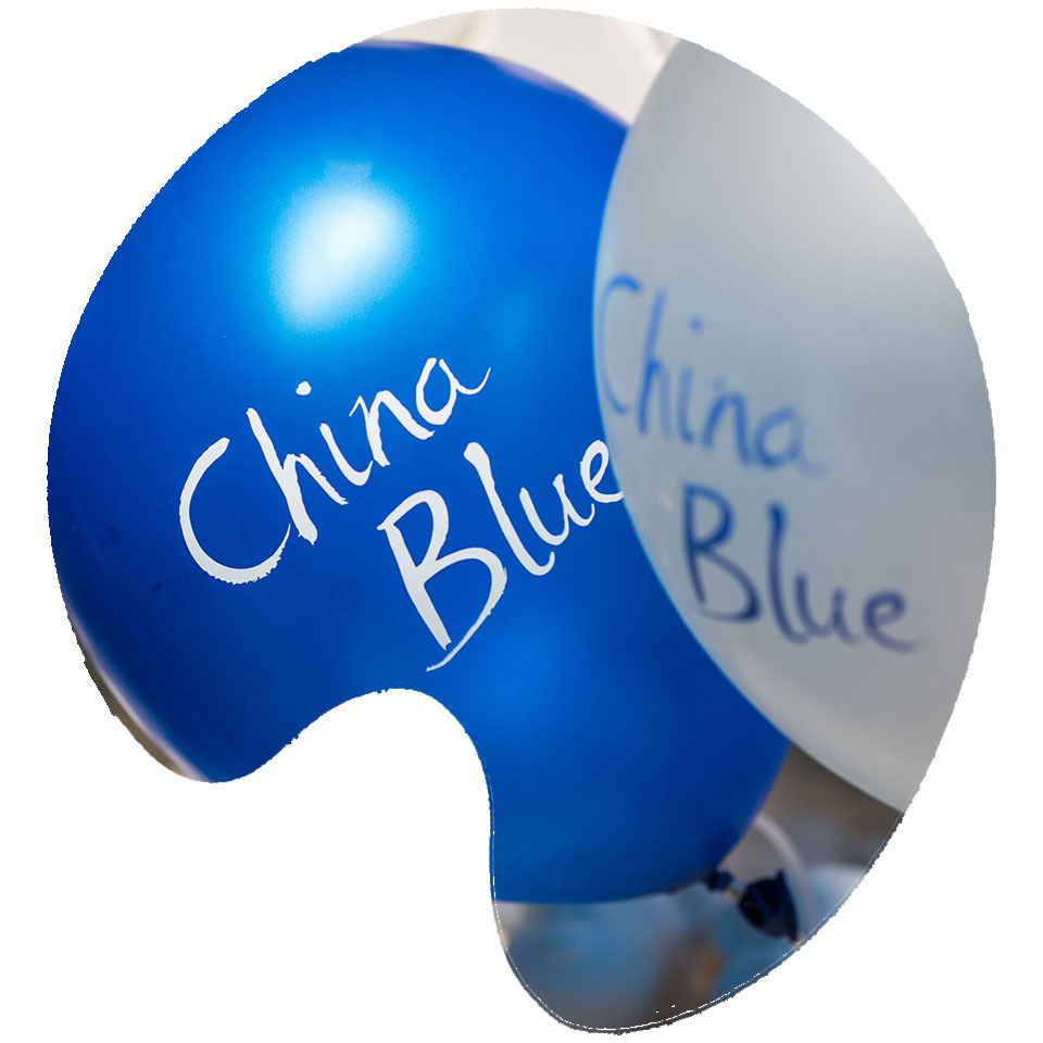 Party Packages at The China Blue Ceramics Studio, Totnes